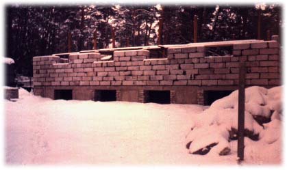 winter.jpg (26554 bytes)